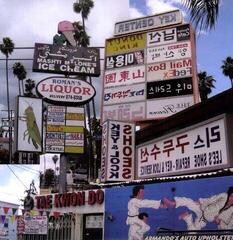 Disco in vinile Matthew Friedberger - Cut It Out (LP)