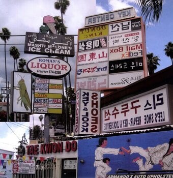 LP ploča Matthew Friedberger - Cut It Out (LP) - 1