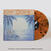 Disco de vinilo Superchunk - Songs In The Key Of Yikes (Limited Edition) (Orange and Black Swirl Signed Coloured) (LP)