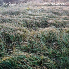 Disc de vinil Steve Gunn - Music For Writers (Limited Edition) (Pedvale Sunrise Orange Coloured) (LP)
