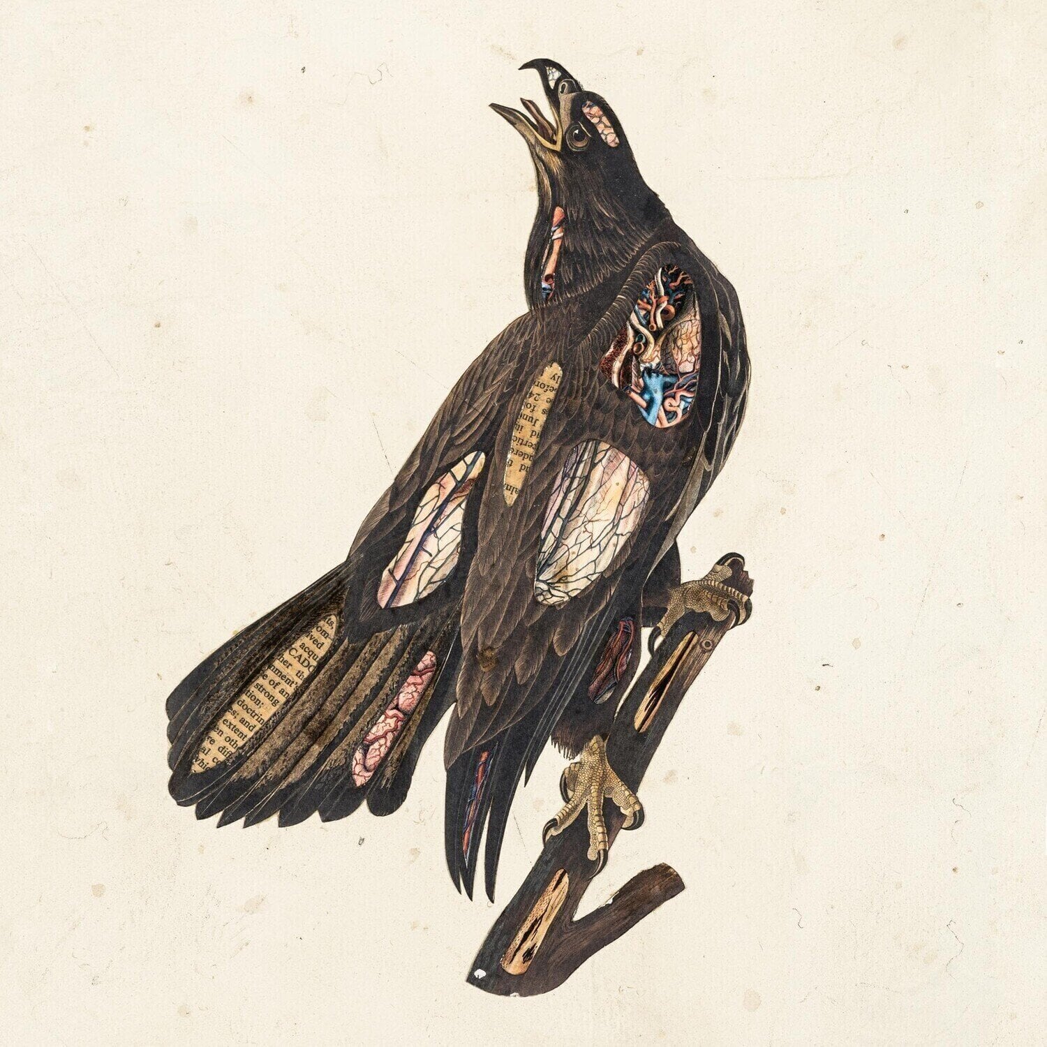 Disc de vinil Clutch - Book Of Bad Decisions (Limited Edition) (2 LP)