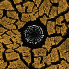 LP ploča Various Artists - Sand Worms (The Songs Of Howe Gelb And Giant Sand) (LP)