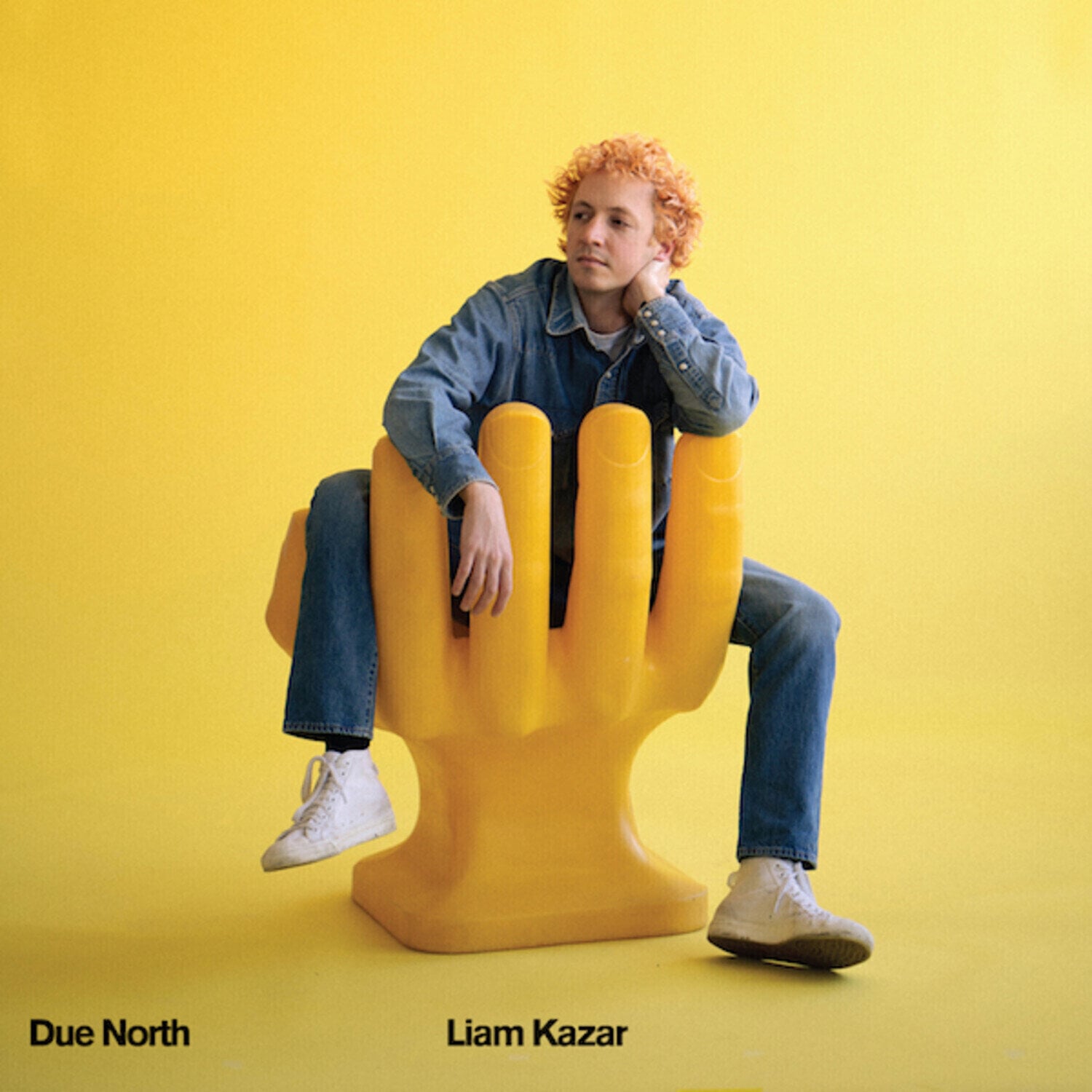 Грамофонна плоча Liam Kazar - Due North (Limited Edition) (LP)