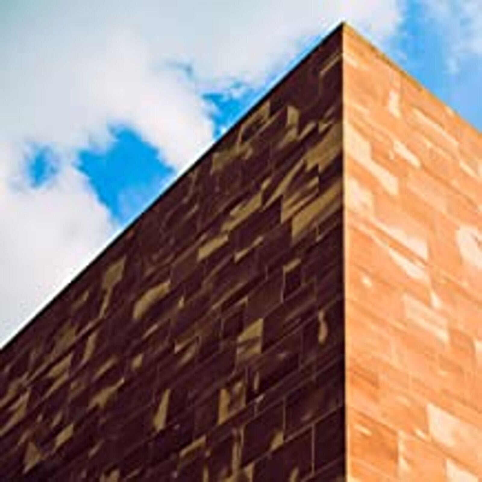 Vinyl Record Nyos - Now. (LP)