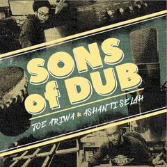 Disc de vinil Ashanti Selah & Joe Ariwa - Sons Of Dub (LP)