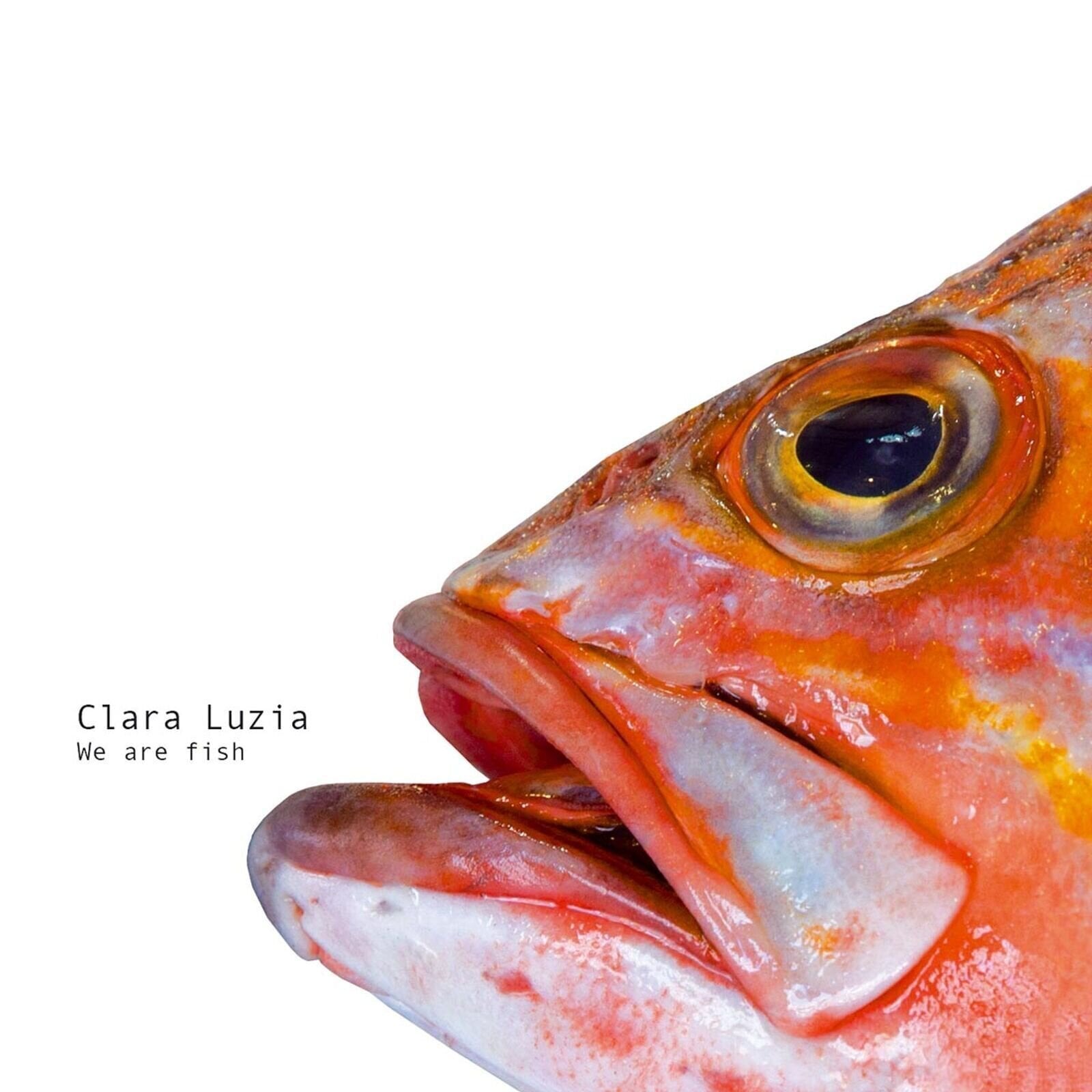 Disco de vinil Clara Luzia - We Are Fish (LP)