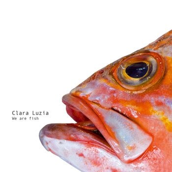 Disco de vinil Clara Luzia - We Are Fish (LP) - 1