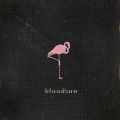LP deska Blaudzun - Blaudzun (180 g) (LP)