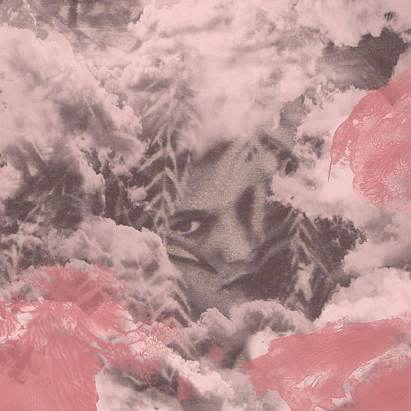 Vinyl Record Dog Bite - Velvet Changes (LP)