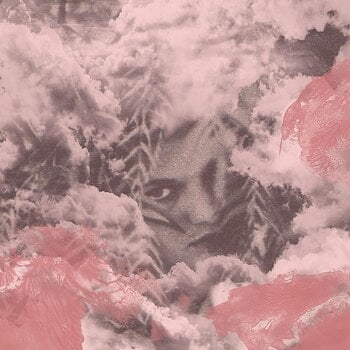 Vinyl Record Dog Bite - Velvet Changes (LP) - 1