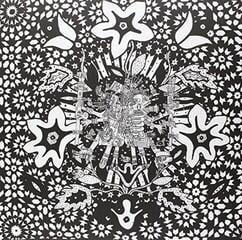 Vinyl Record Residual Echoes - The Middle Path (LP)