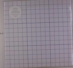 Vinyl Record Alexis Taylor - Await Barbarians (Limited Edition) (LP + 7")