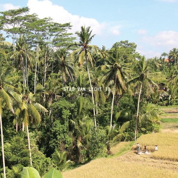 Disque vinyle Stad Van Licht - Stad Van Licht II (LP)