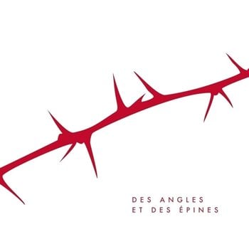Vinyl Record Cabadzi - Des Angles Et Des Épines (Box Set) (2 LP) - 1