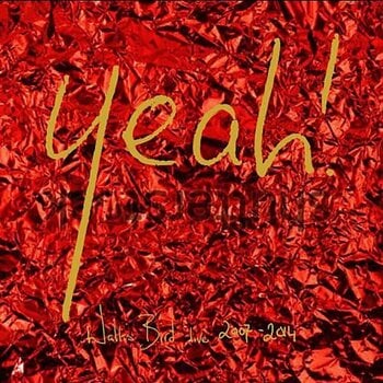 Vinyl Record Wallis Bird - Yeah! (2 LP) - 1