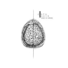 Disco de vinil Clara Luzia - Here's To Nemesis (Limited Edition) (LP)