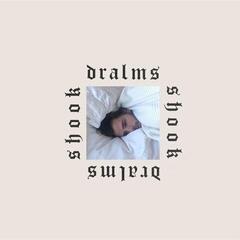 Vinyl Record Dralms - Shook (LP)