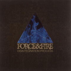 Vinyl Record Force & Fire - Disintegration Process (LP)