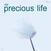 Vinyl Record AM - Precious Life (LP)
