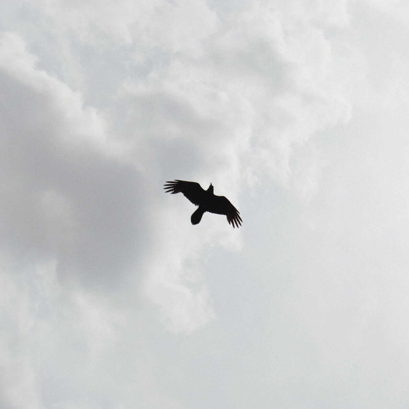 Vinyl Record Moon Bros. - These Stars (LP)