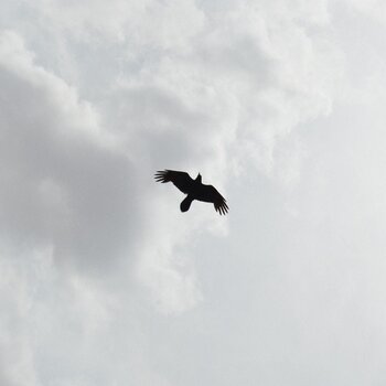 Vinyl Record Moon Bros. - These Stars (LP) - 1