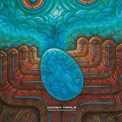 Vinyl Record Hidden Trails - The Battle Between Mindful Creation And Instant Momentary Bliss (LP)