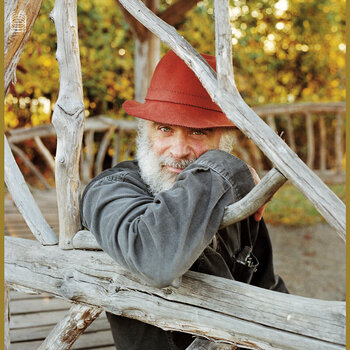 Vinyl Record Daniel Higgs - The Fools Sermon, Part 1 (2 LP) - 1