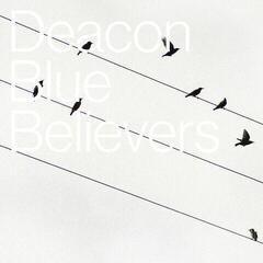 Vinyl Record Deacon Blue - Believers (LP)