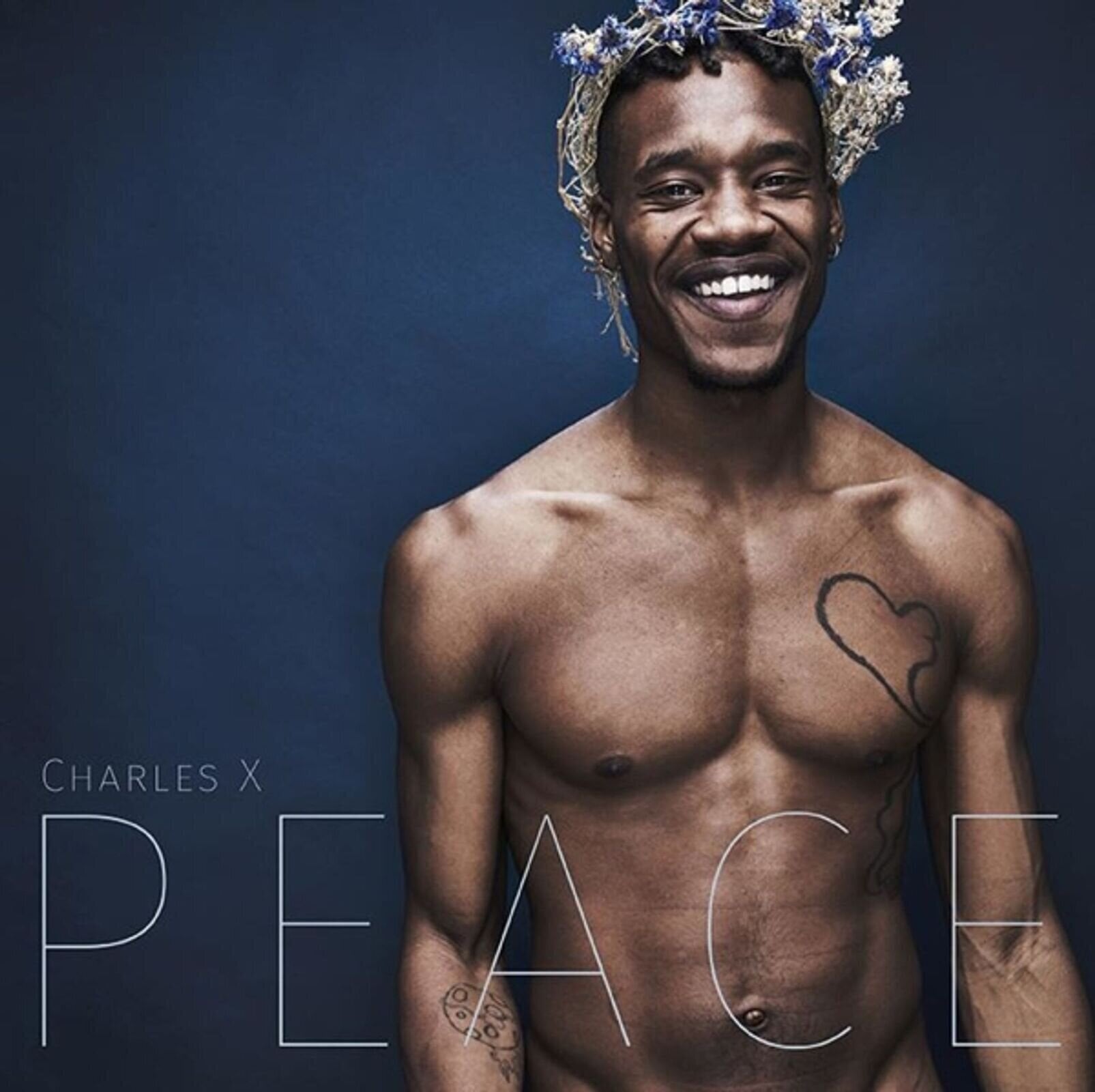 Vinyl Record Charles X - Peace (LP)