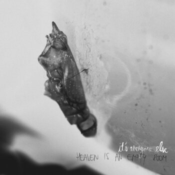 Vinylplade It's Everyone Else - Heaven Is An Empty Room (LP) - 1