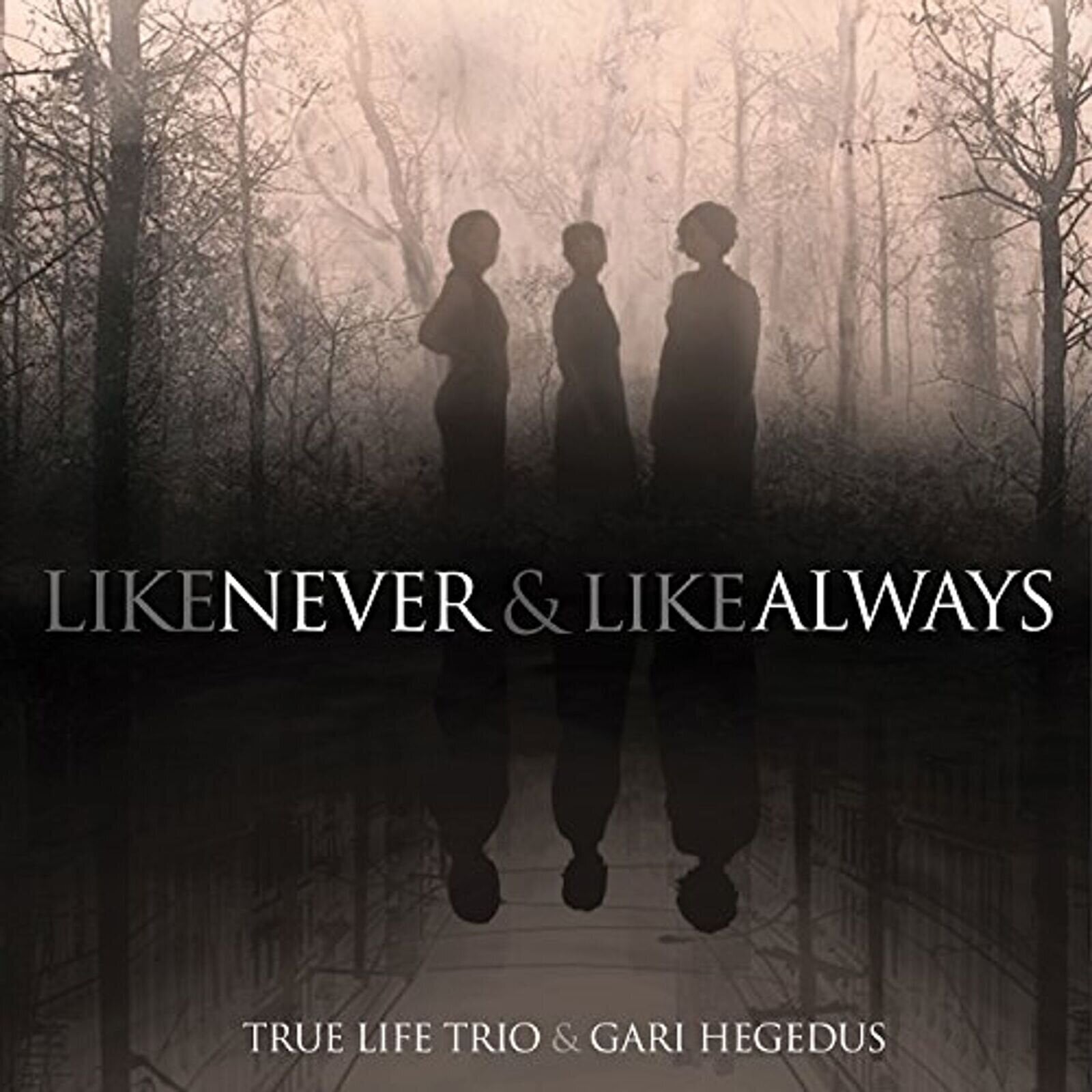 Vinyl Record True Life Trio & Gari Hegedus - Like Never And Like Always (LP)