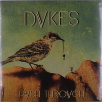 Vinyl Record DVKES - Push Through (LP) - 1