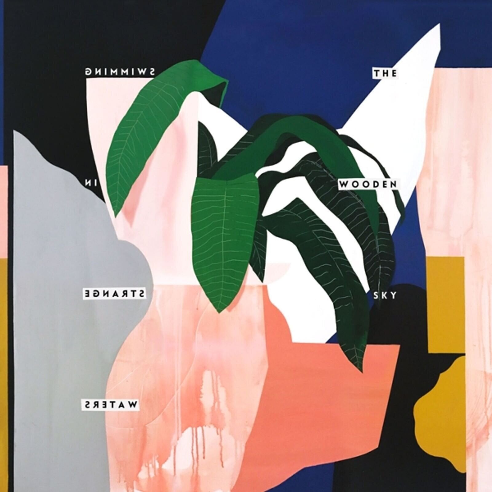 Vinylplate The Wooden Sky - Swimming In Strange Waters (Limited Edition) (LP)