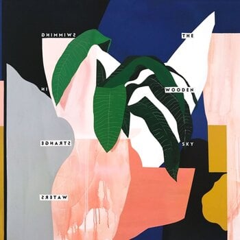 Vinylplate The Wooden Sky - Swimming In Strange Waters (Limited Edition) (LP) - 1