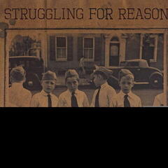 Vinyl Record Struggling For Reason - Last Time For Second Chances (LP)