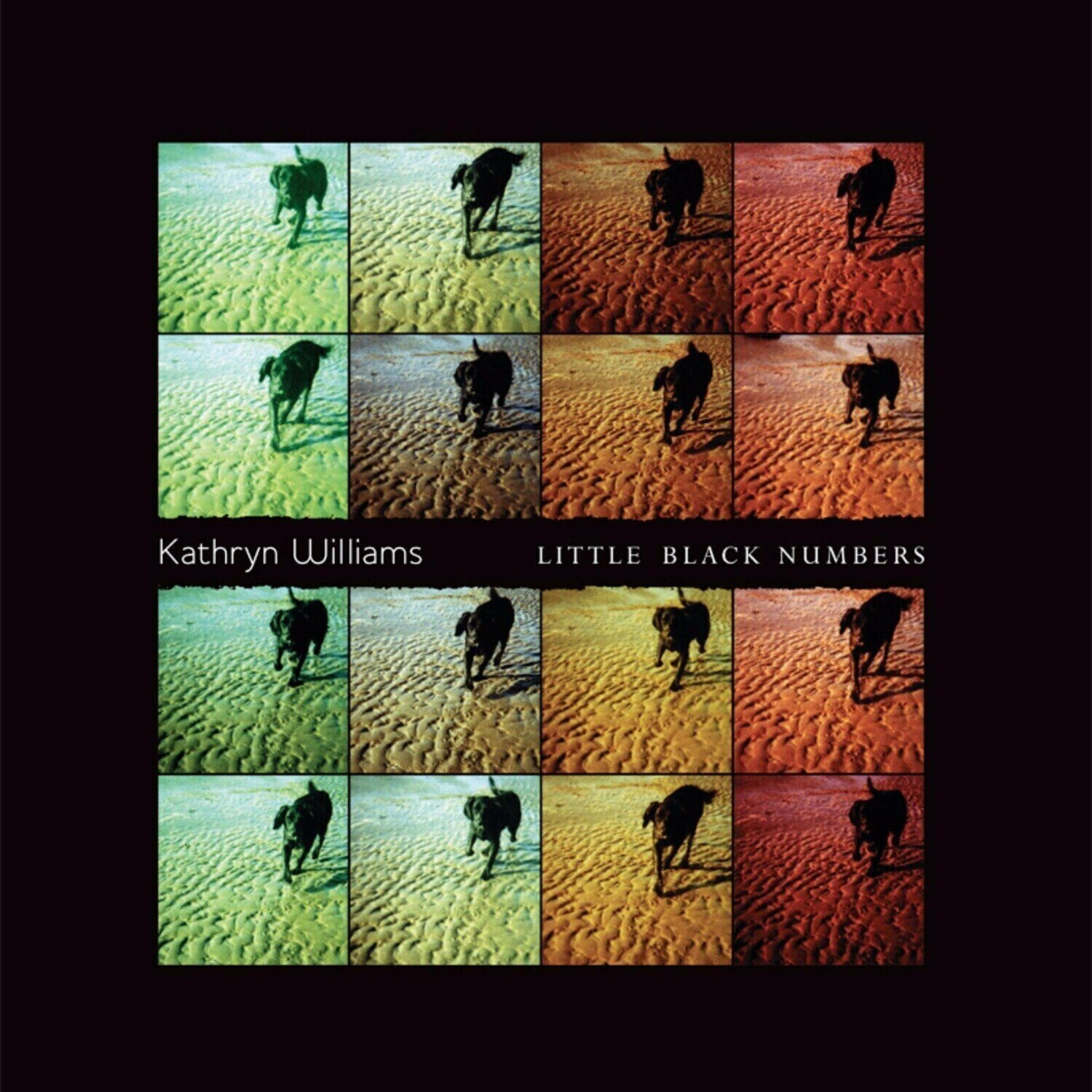 Vinyl Record Kathryn Williams - Little Black Numbers (Reissue) (LP)