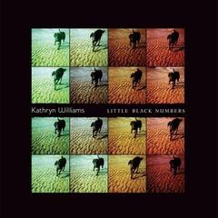 Vinyl Record Kathryn Williams - Little Black Numbers (Reissue) (LP)