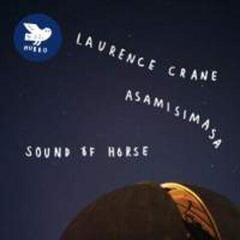 Vinylplate Laurence Crane & asamisimasa - Sound Of Horse (2 LP)
