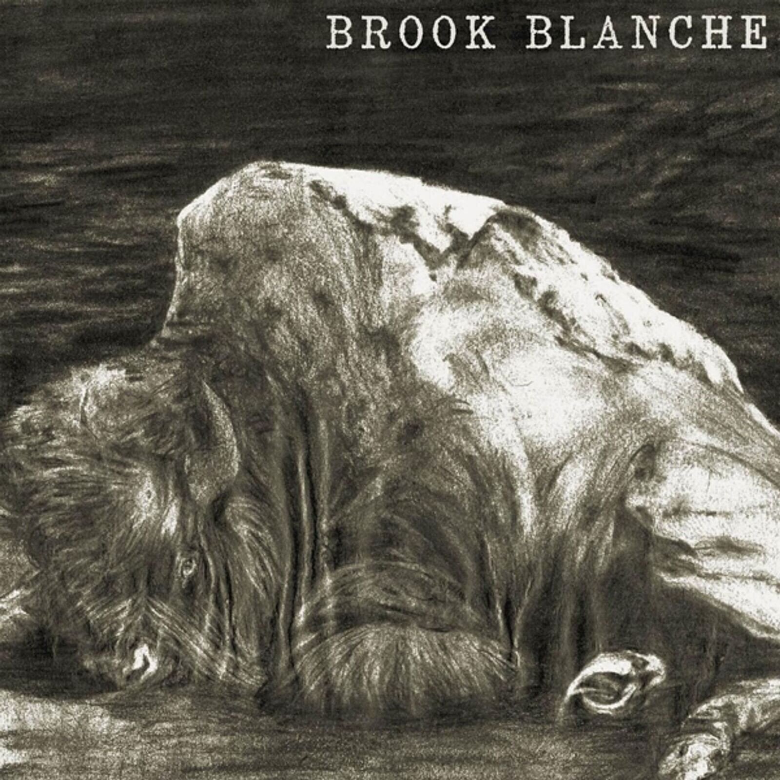 Disque vinyle Brook Blanche - Brook Blanche (LP)