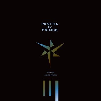 Vinyl Record Pantha Du Prince - The Triad Ambient Versions (2 LP) - 1