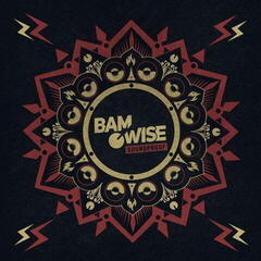 Hanglemez Bamwise - Soundproof (LP)