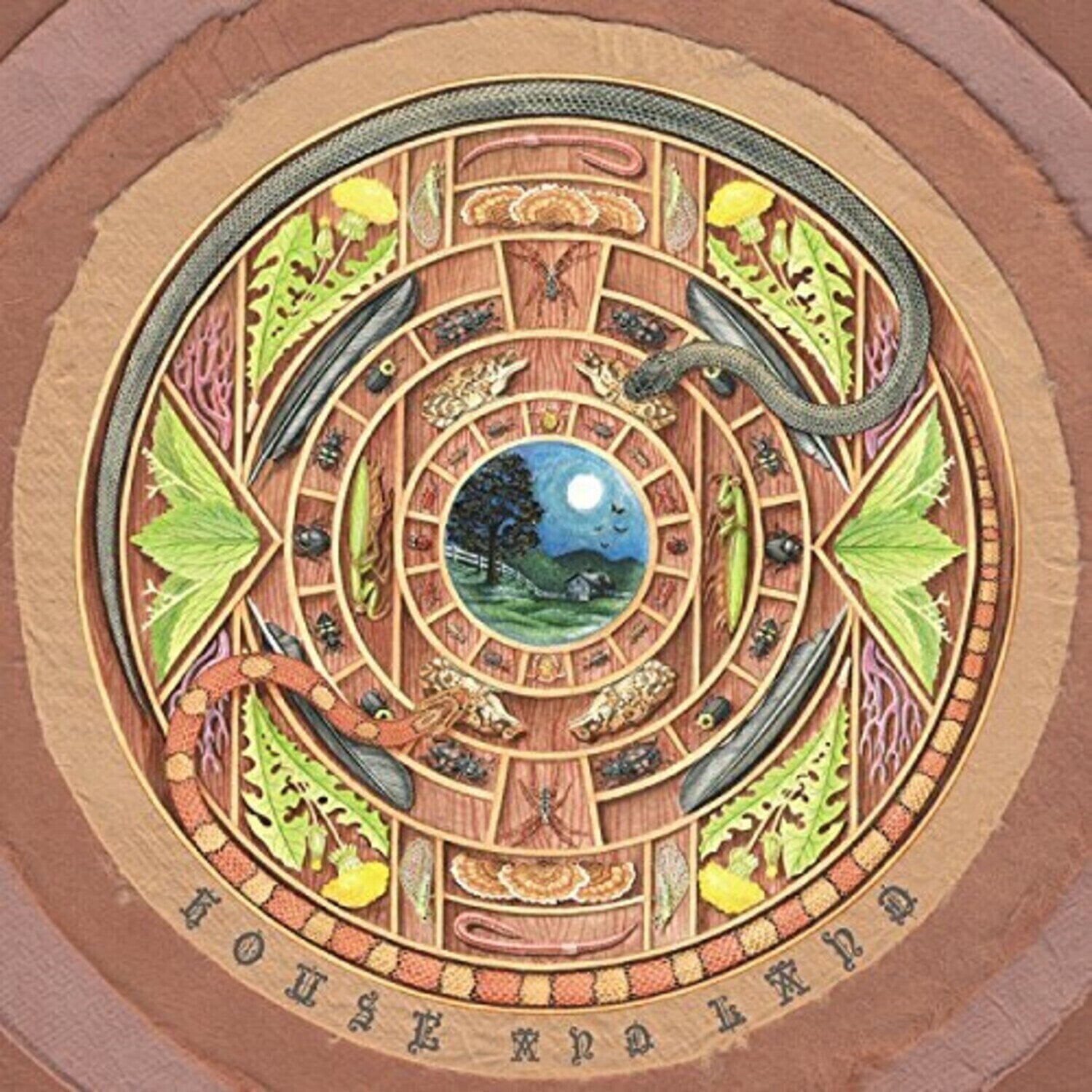 LP ploča House And Land - House And Land (LP)