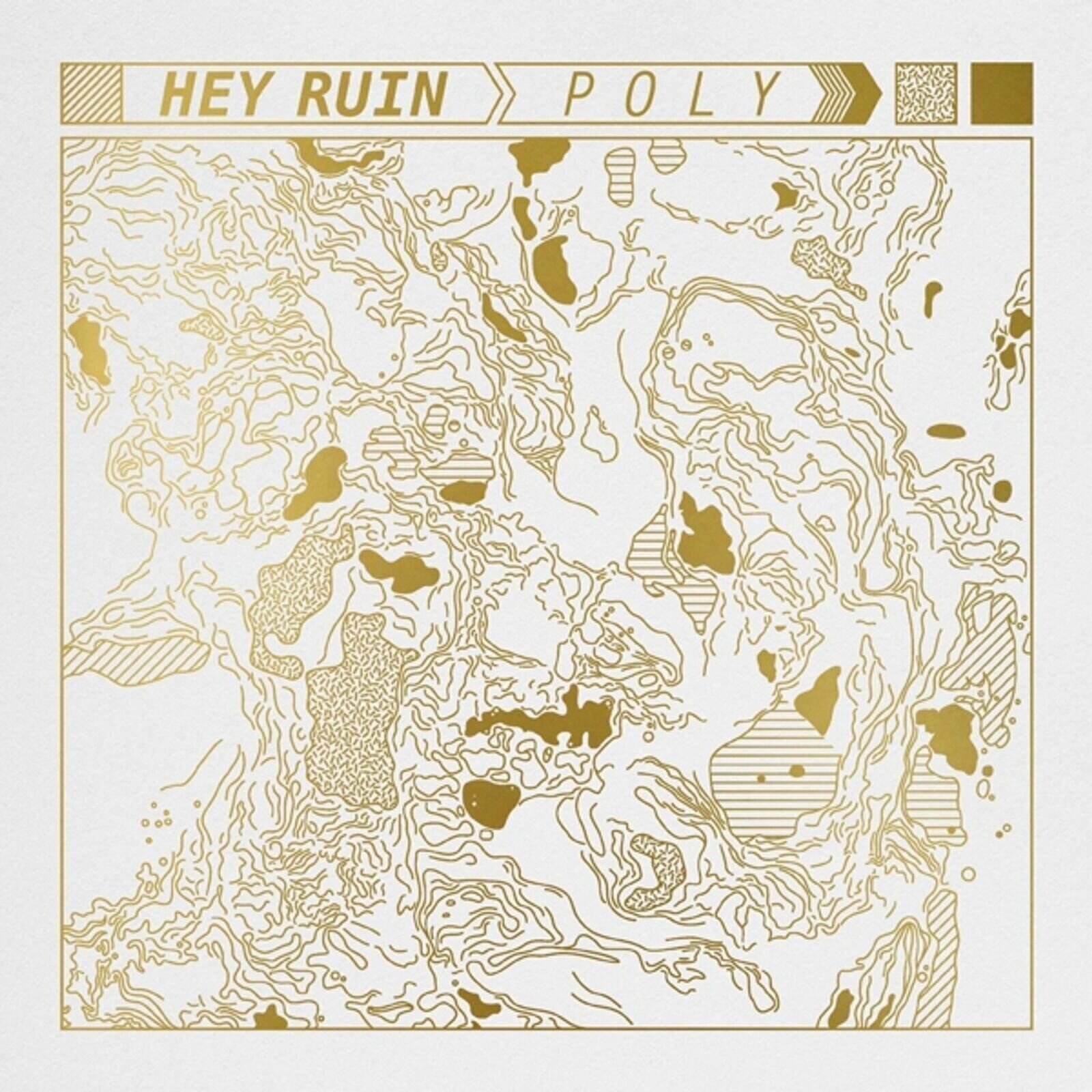 Vinyl Record Hey Ruin - Poly (LP)