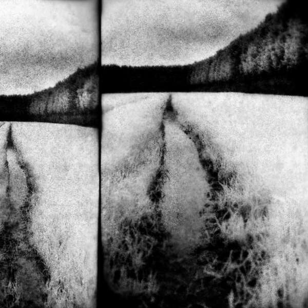 Vinyl Record Tenebrous Liar - the cut (LP)