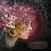 LP ploča Operation Cherrytree - Scum And Honey (LP)