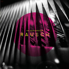 Vinyl Record Kai Schumacher - RAUSCH (LP)