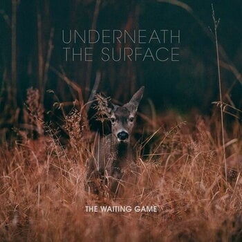 Грамофонна плоча The Waiting Game - Underneath The Surface (LP) - 1