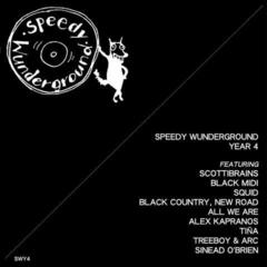 LP deska Various Artists - Speedy Wunderground Year 4 (LP)