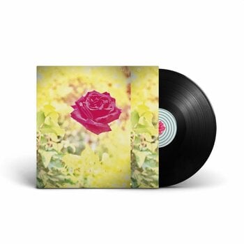 Vinyl Record Lambchop - Trip (LP) - 1