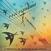 Hanglemez Paul Personne - Funambule (2 LP)